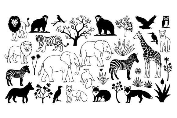 Download Collection of African Wildlife&nbsp; - Collection Collection